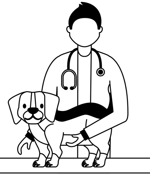 Screenshot 2024-02-24 at 01-06-35 Title Veterinary clinic petcare Royalty Free Vector Image